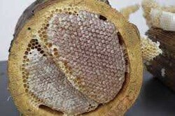 Karakovan Balı Çiçek Balı 3 kg - Thumbnail