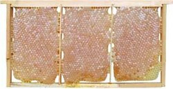 Kaçkar Bali - Petek Balı 3 kğ Kg 1 kğ 300 ₺