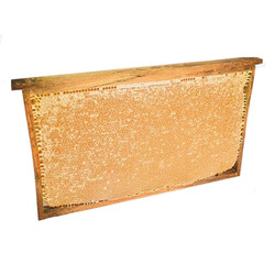 Petekli Bal - Petek Balı 1,500 kg